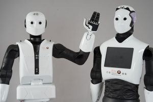 Humanoïdes ou robots ?