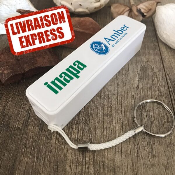 Batterie de secours personnalisée livraison rapide