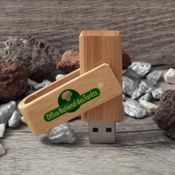 bambou clé usb publicitaire