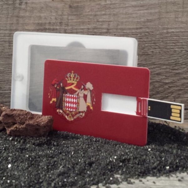 carte de visite usb