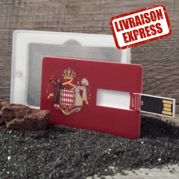 grossiste clé USB carte de crédit personnalisée pas chère