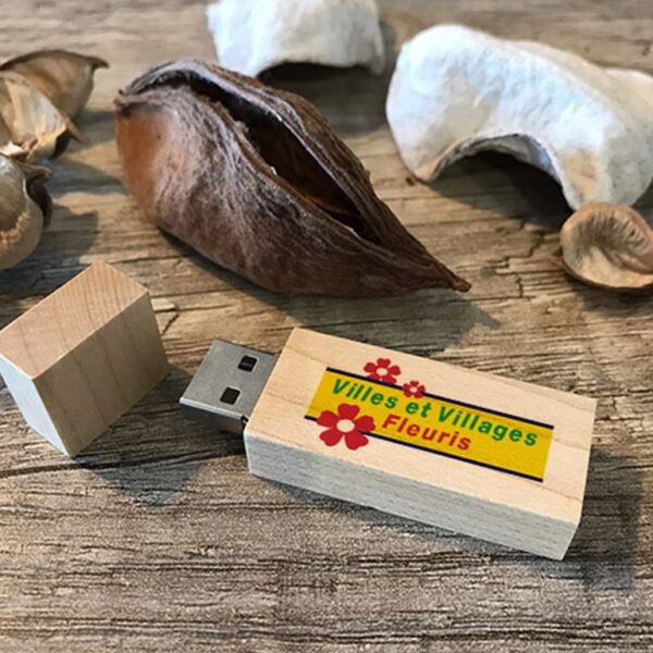 clé usb écologique bois naturel