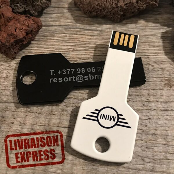Clé USB clef métal personnalisée