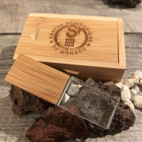 boite écrin en bois pour clé USB bois verre